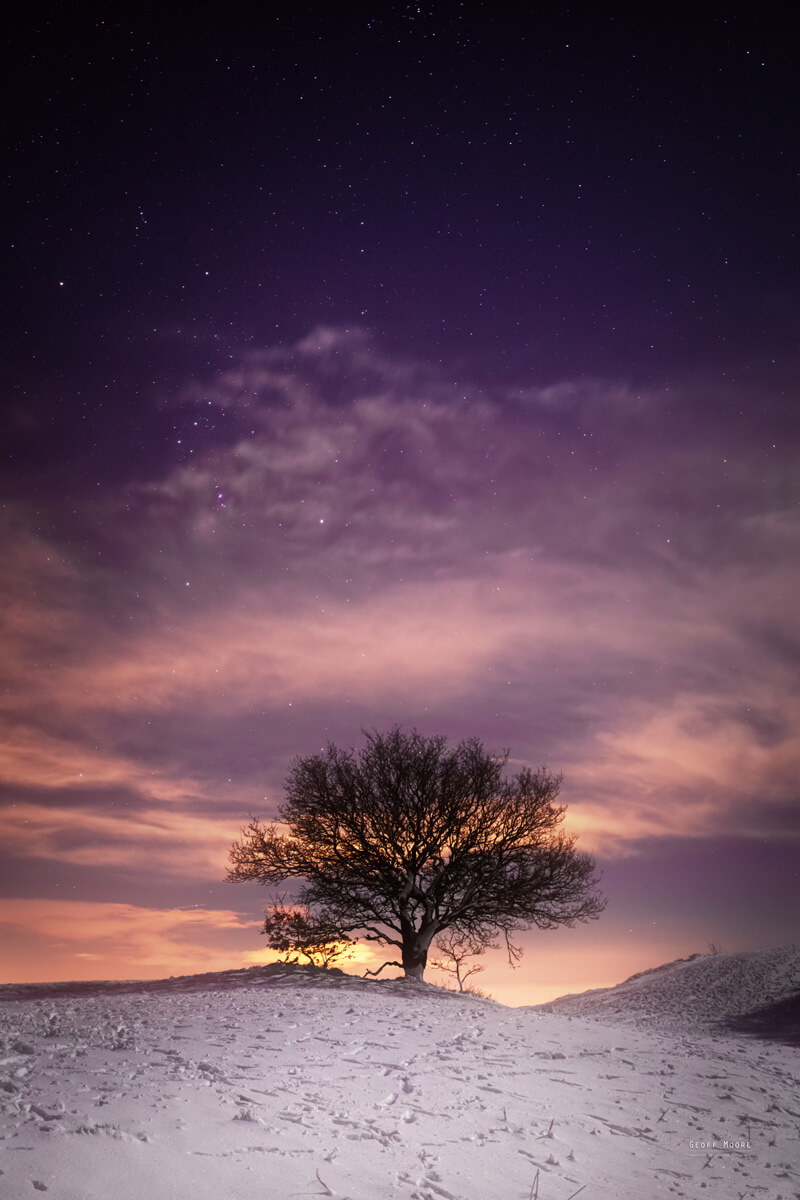 Orion View