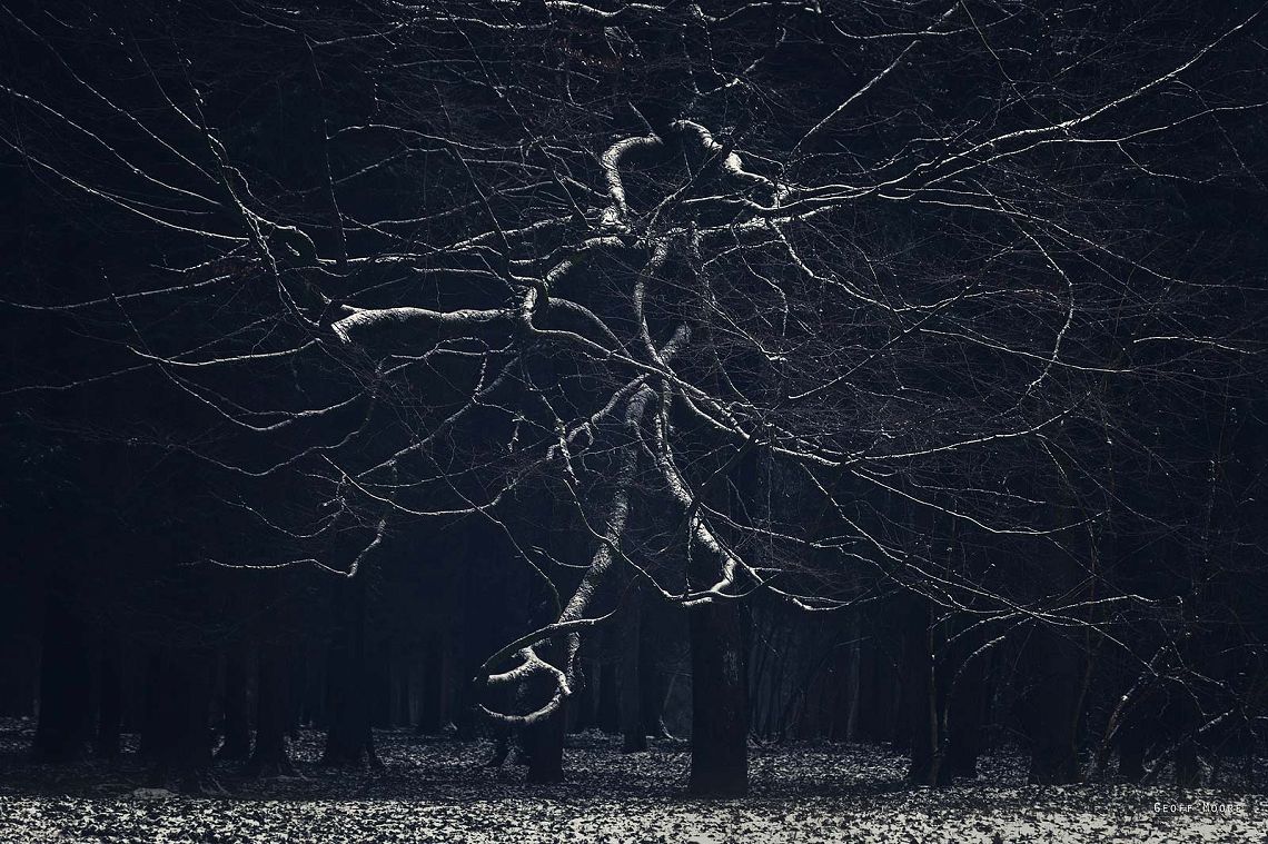 Tormented Tree