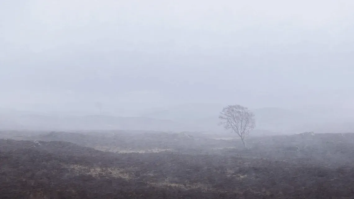 Blizzard on Rannoch Moor