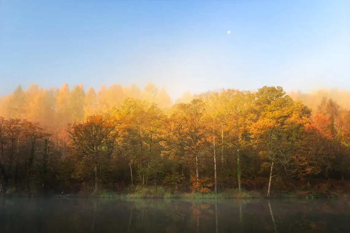 Moon Rise, Forest of Dean, Gloucestershire