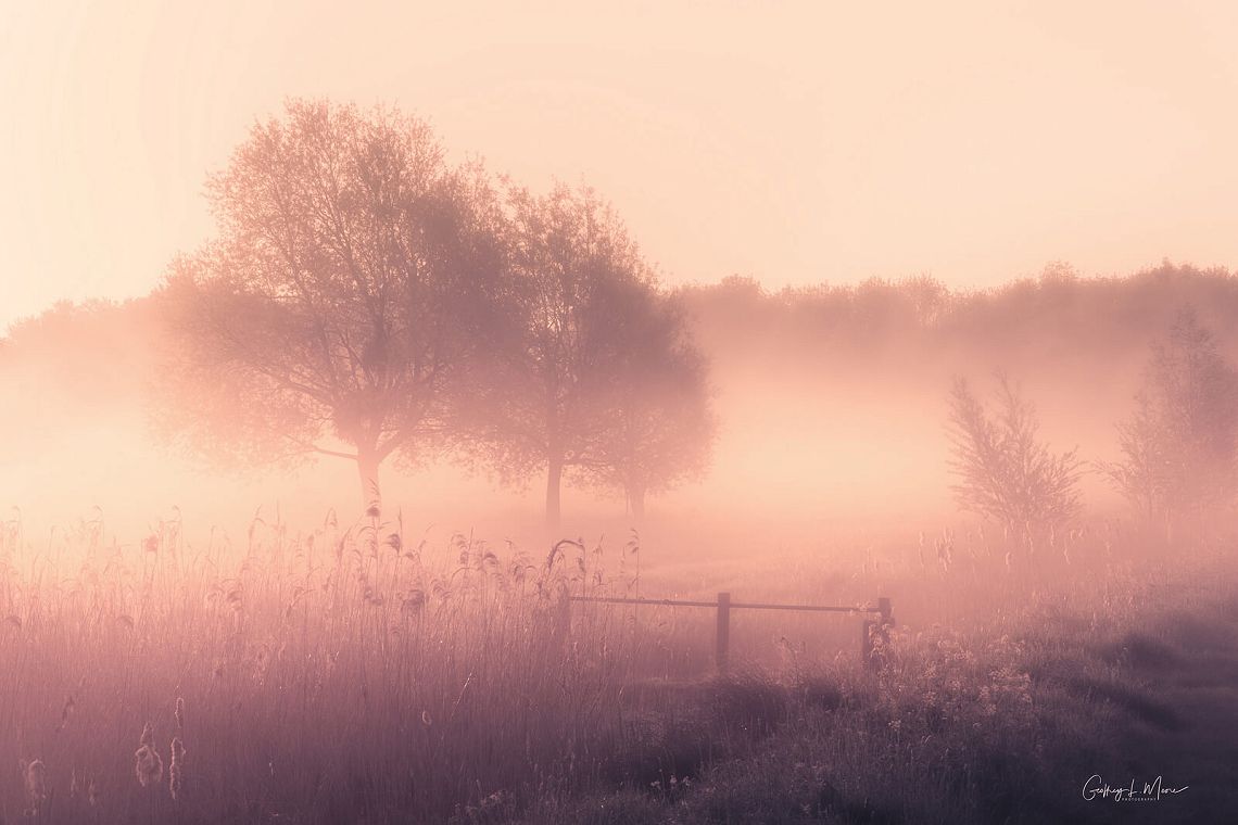 Meadow Bridge