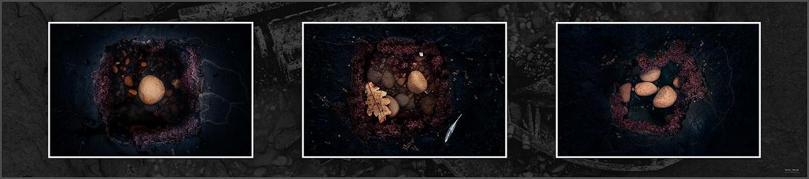 Ocean Detail Triptych