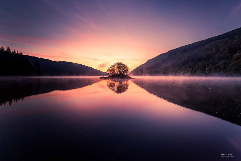 The Lone Tree Of Lake Vrnmy
