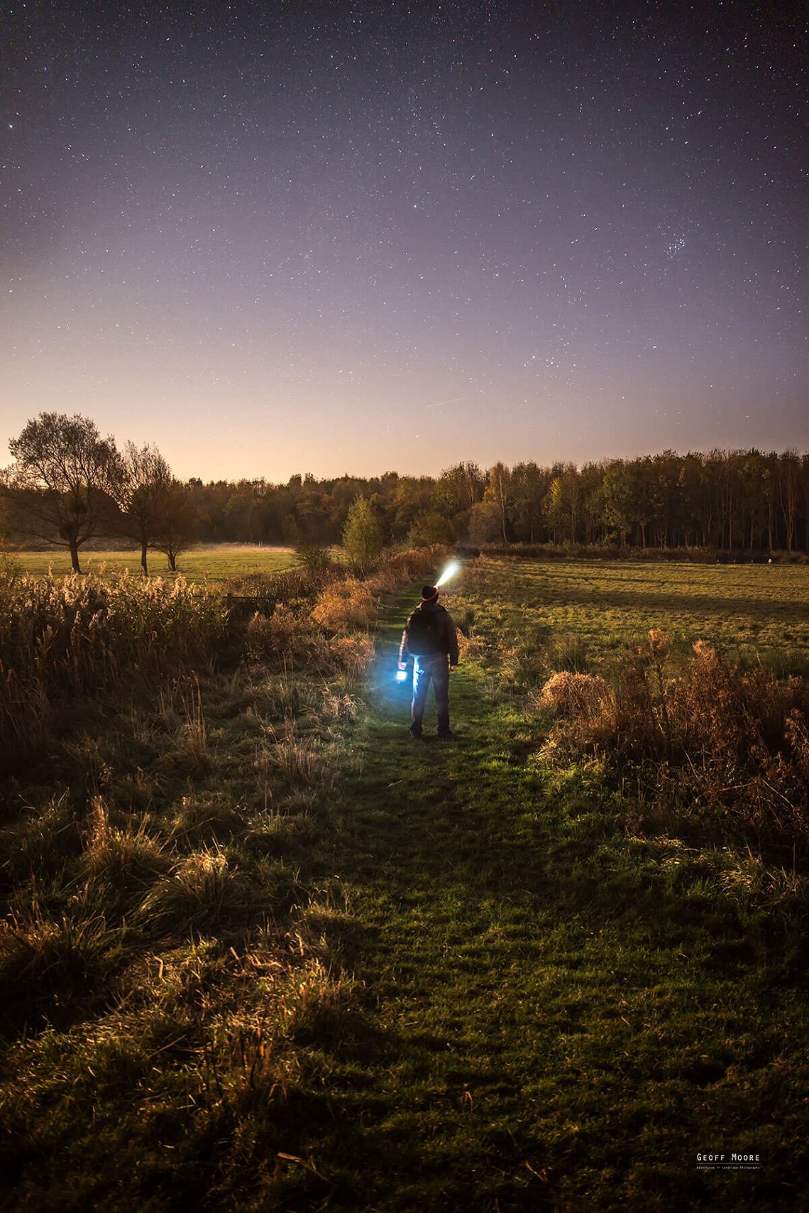 Wetlands Moonlight Stroll
