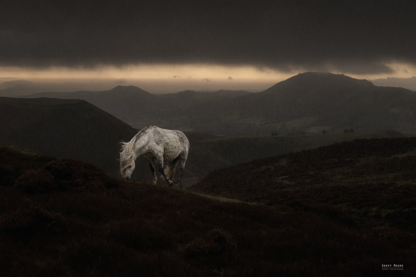 Shropshire White Horse - Landscape Photography