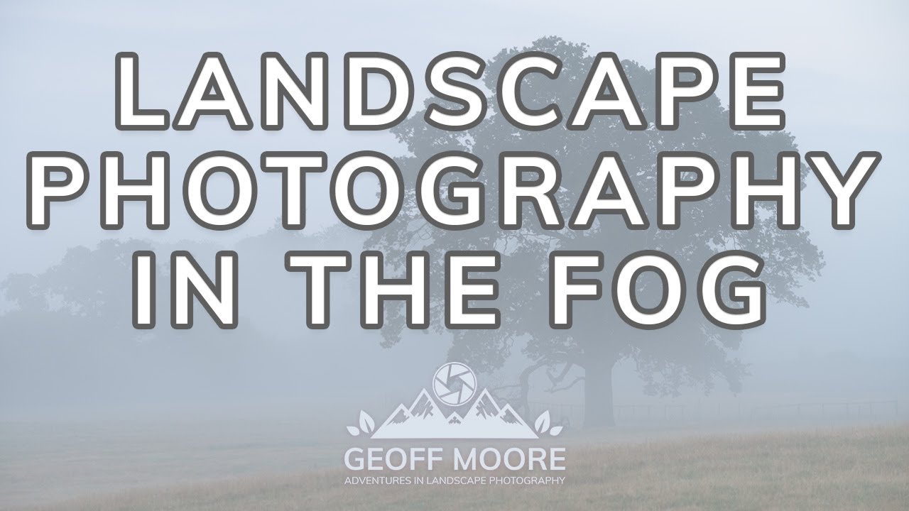 Foggy Landscape Photography