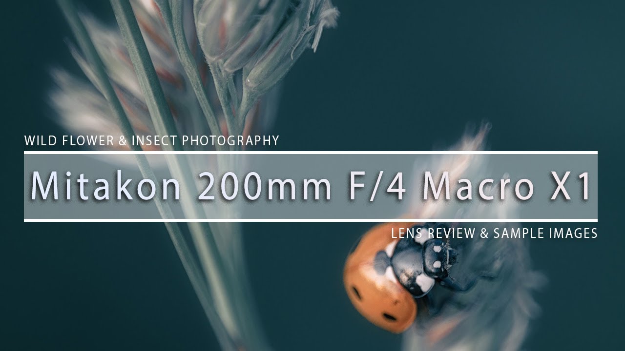 Mitakon Zhong Yi Optics 200mm f4 Macro 1X Lens Review & Sample Images